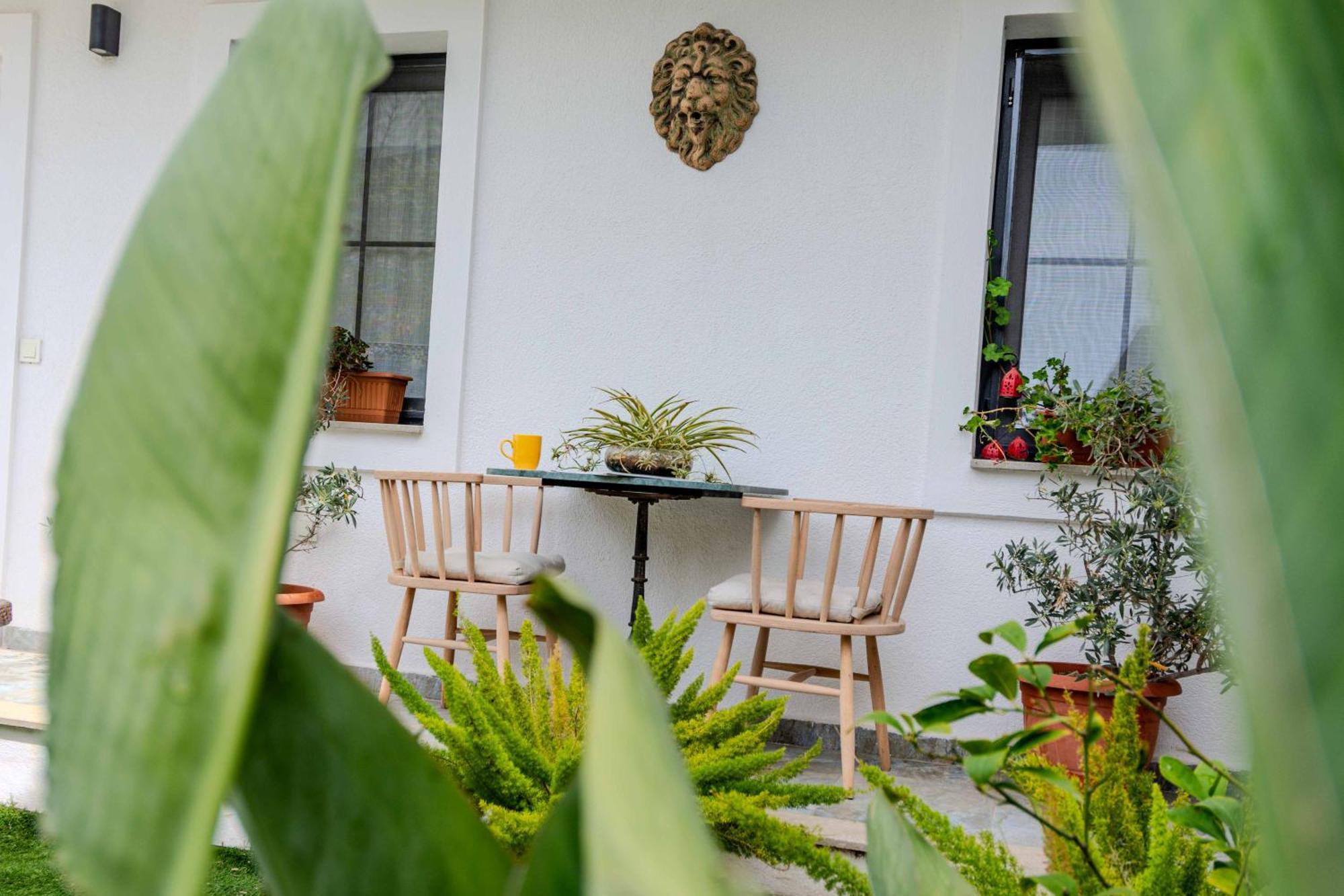 Arden'S House Bed & Breakfast Bodrum Ngoại thất bức ảnh
